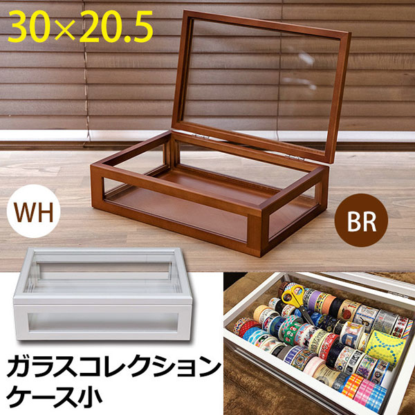 ガラスケース コレクションケース 収納ケース 幅30cm ショーケース
