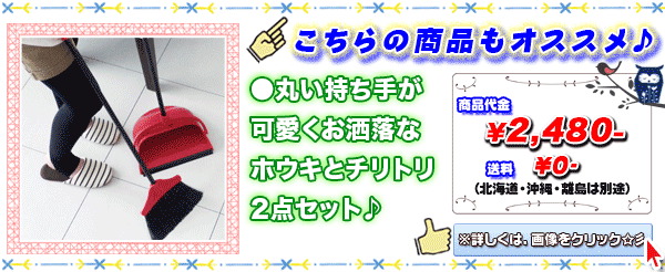 ほうき ちりとり 2点セット 室内ほうき 掃除 ブルーム ダストパン 屋外ほうき 清掃 ホウキ チリトリ セット 壁掛け コンパクト収納 Aimcube エイムキューブ インテリア 家具 雑貨 ハンドメイド作品 ほうき ちりとり 2点セット 室内ほうき 掃除 ブルーム ダストパン 屋外ほうき 清掃 ホウキ チリトリ セット 壁掛け コンパクト収納 Aimcube エイムキューブ インテリア 家具 雑貨 ハンドメイド作品
